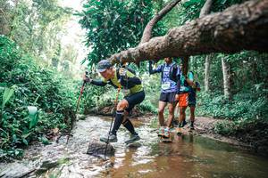 BIB: 
                            <button type="button" onclick="openModal(25369156)" class="btn btn-primary btn-sm float-right btn-popup" data-toggle="modal" data-target=".modal-high-quality">
                        <i class="fas fa-shopping-cart"></i> Add to Cart
                    </button>
                                            <button type="button" onclick="isThisMe(25369156, true)" class="btn btn-success btn-sm float-right btn-popup btn-isme hidden" data-toggle="tooltip" data-placement="bottom" title="นี่คือรูปของคุณใช่ไหม คลิกที่นี่เพื่อเอาเข้าอัลบั้ม">
                        <i class="fas fa-plus"></i> Add to album
                    </button>
                    <button type="button" onclick="isThisMe(25369156, false)" class="btn btn-warning btn-sm float-right btn-popup btn-isnotme hidden">
                        <i class="fas fa-ban"></i> Remove from album
                    </button>